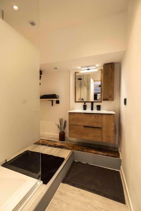 Appartement Cocon Sous Les Toits à Albertville Extérieur photo