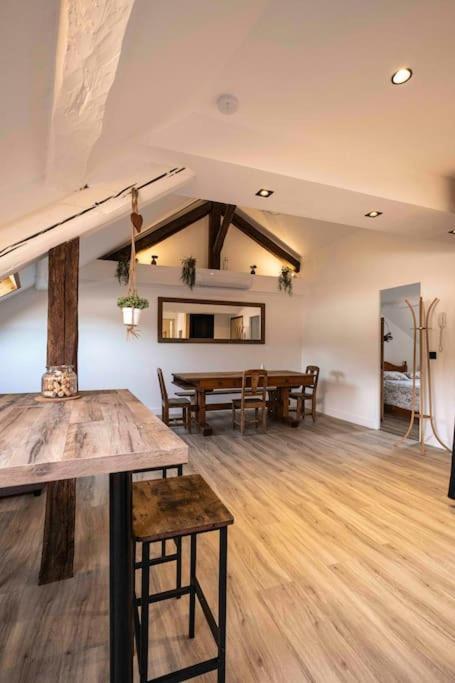 Appartement Cocon Sous Les Toits à Albertville Extérieur photo