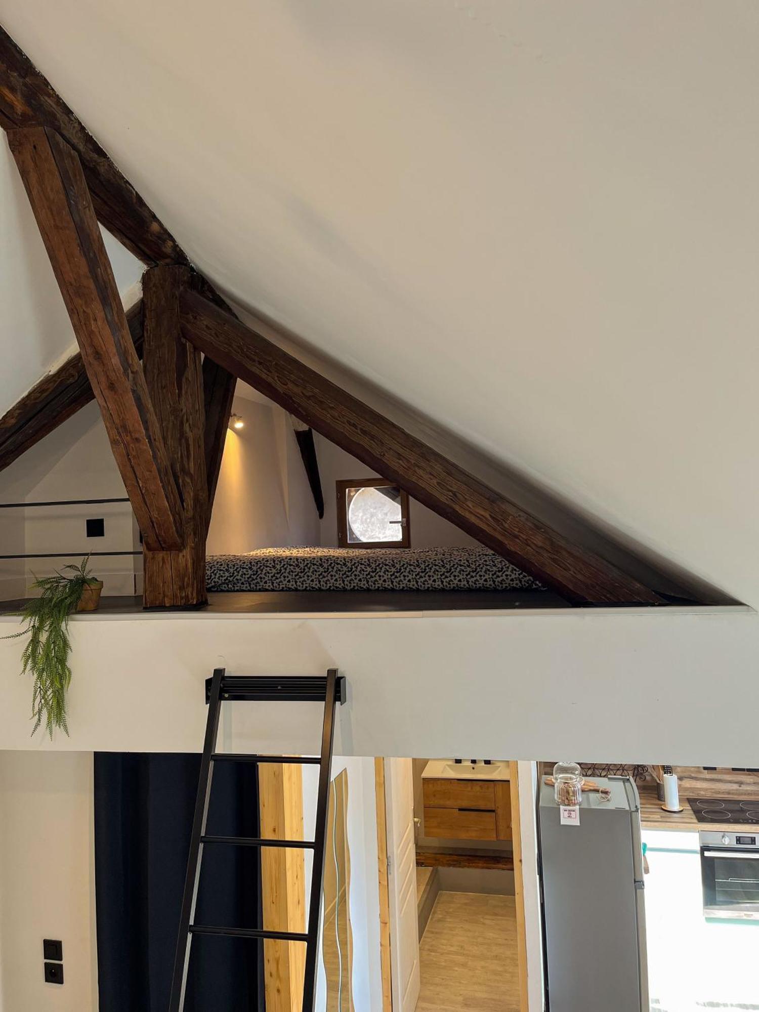 Appartement Cocon Sous Les Toits à Albertville Extérieur photo