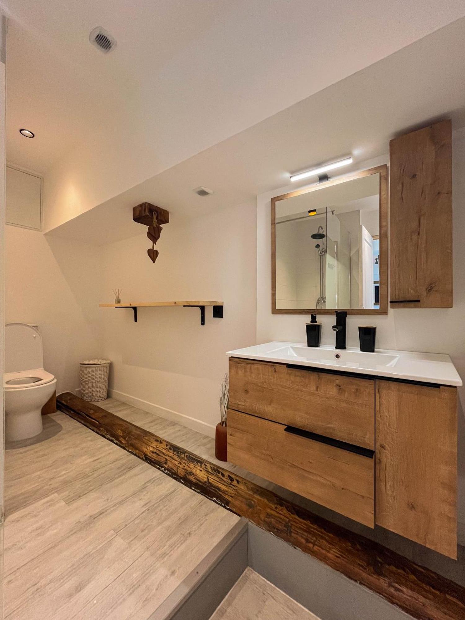 Appartement Cocon Sous Les Toits à Albertville Extérieur photo