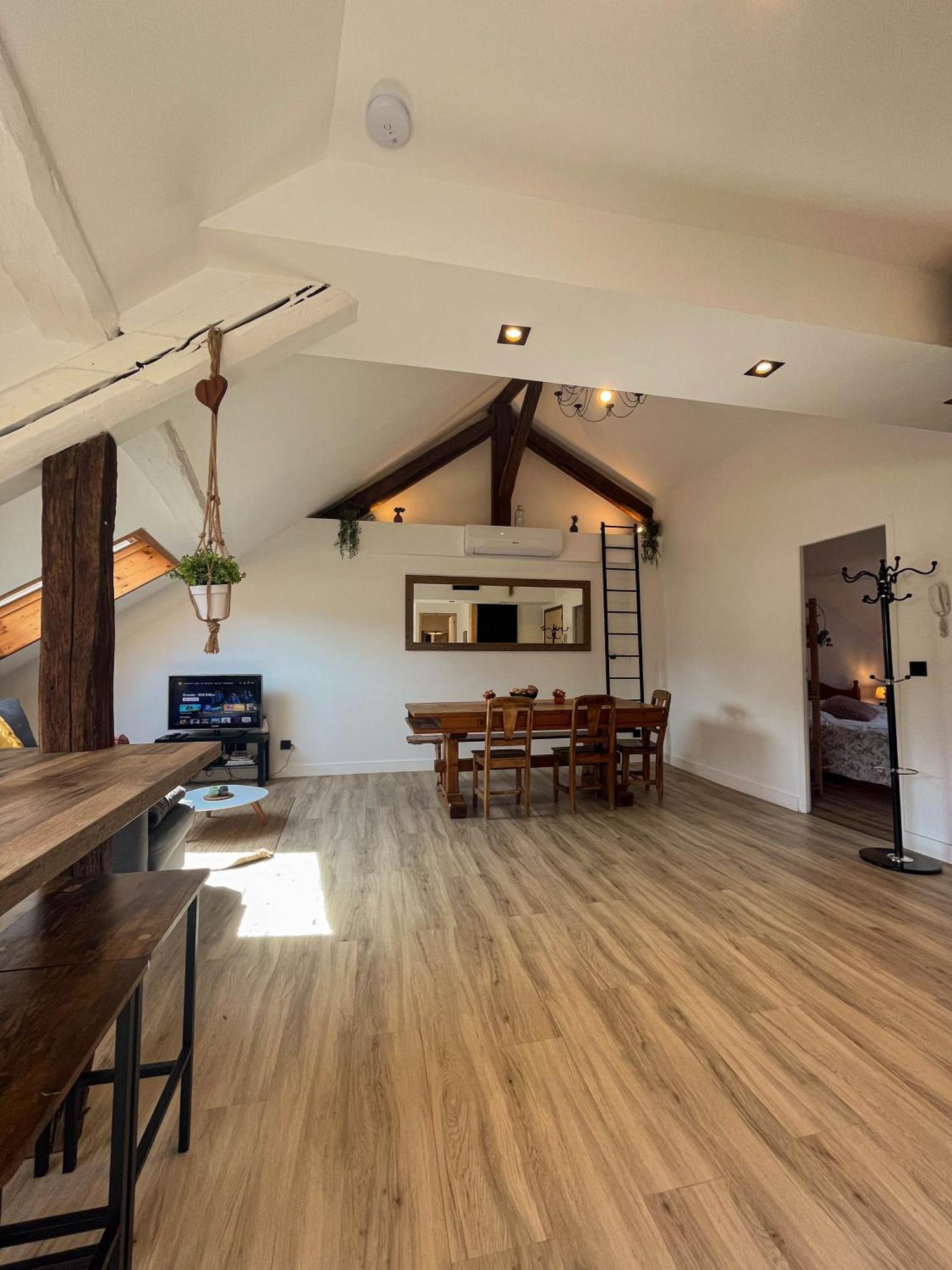 Appartement Cocon Sous Les Toits à Albertville Extérieur photo