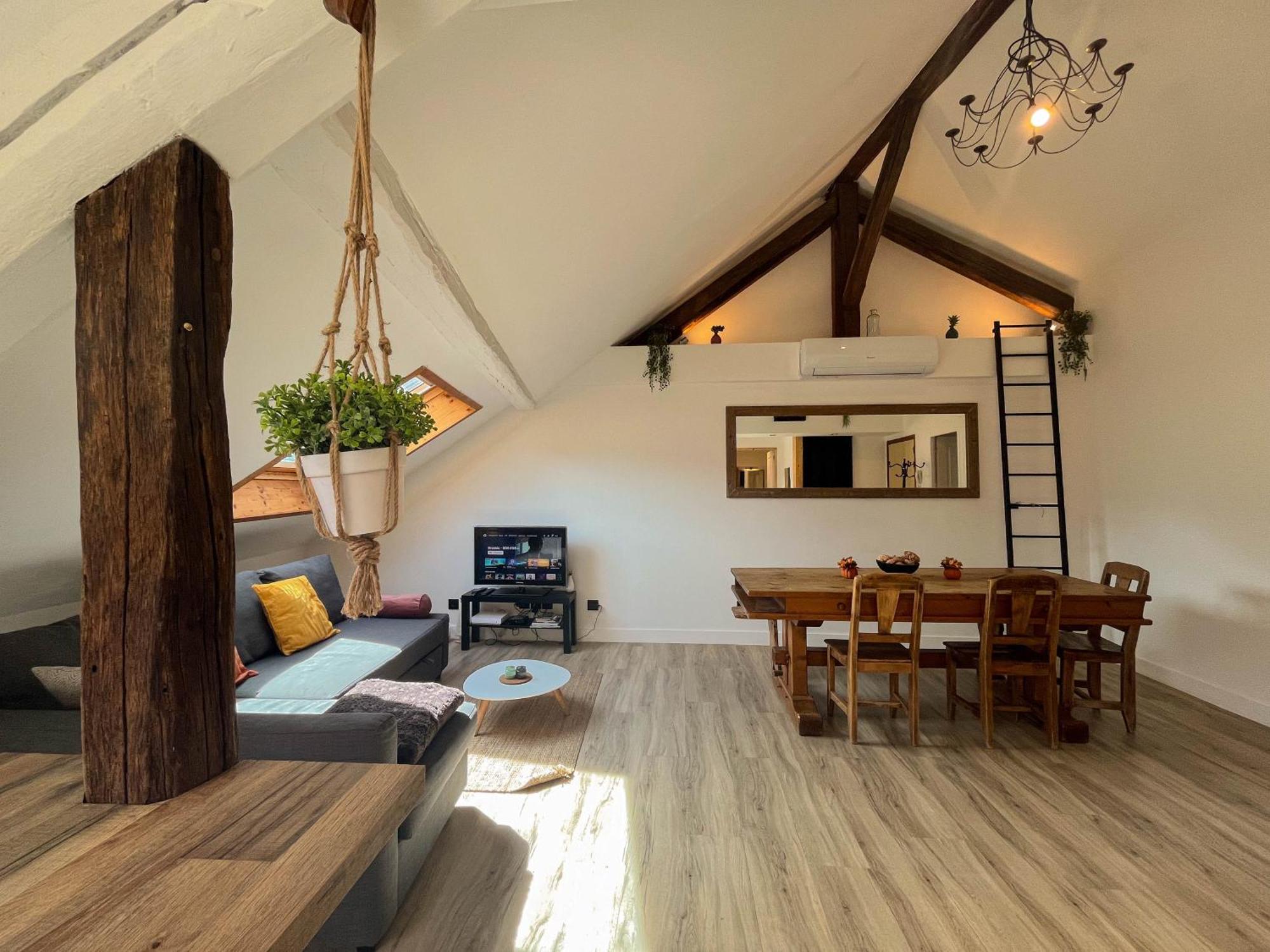 Appartement Cocon Sous Les Toits à Albertville Extérieur photo