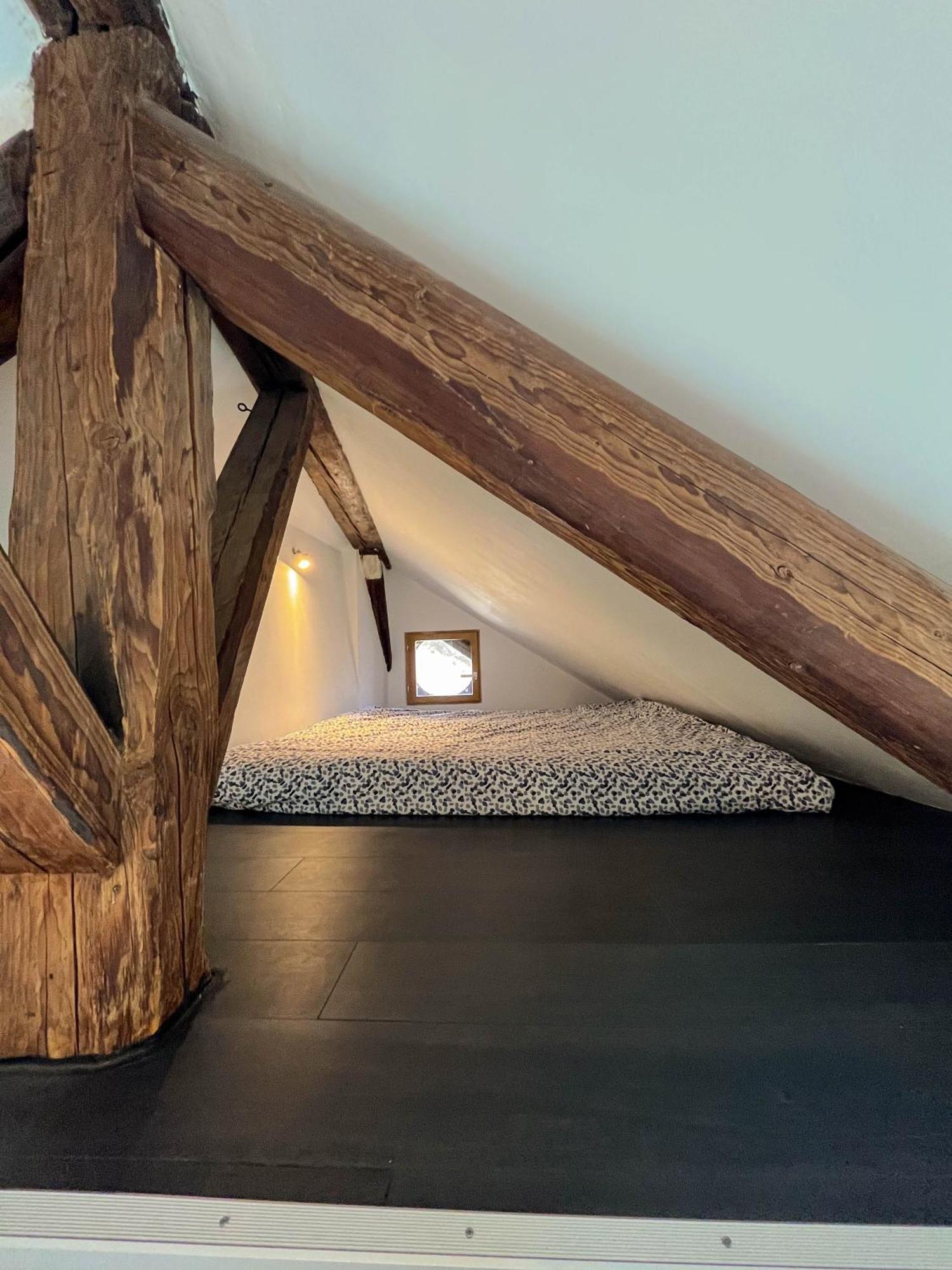Appartement Cocon Sous Les Toits à Albertville Extérieur photo